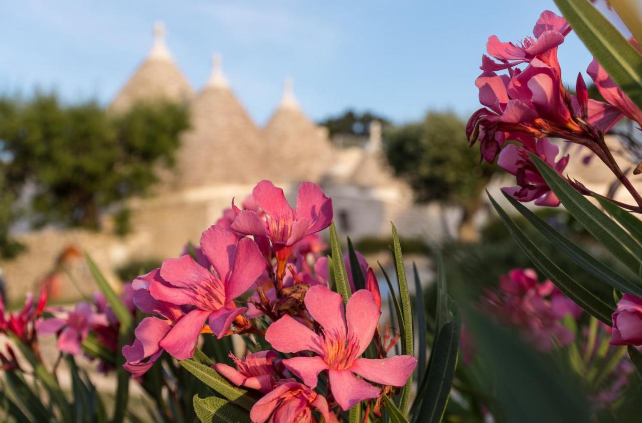 Trulli Angela Apartamento Locorotondo Exterior foto